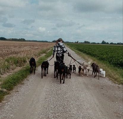 gassiservice gassiservice