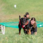 claudi-s-vandersee-photographie_DSC06905-30_Original (kommerz. Nutzung) _faeb0890_